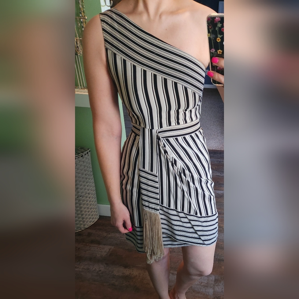 BCBG Maxaria Striped Black and White Dress